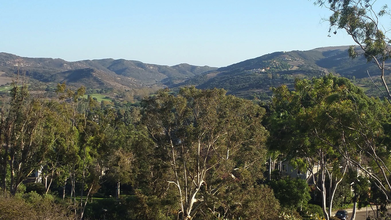 A short description about the picture goes here