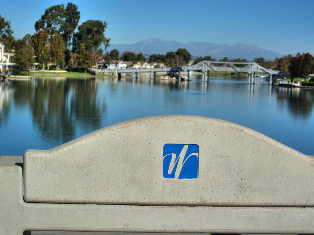 A short description about the picture goes here