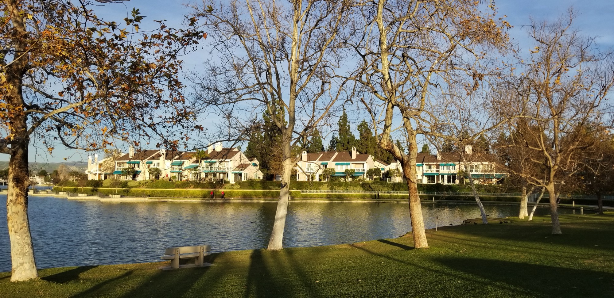 A short description about the picture goes here