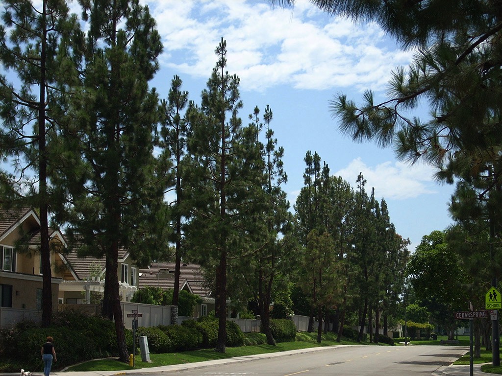 A short description about the picture goes here