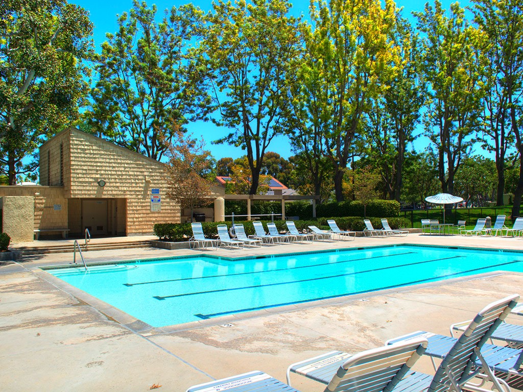 A short description about the picture goes here