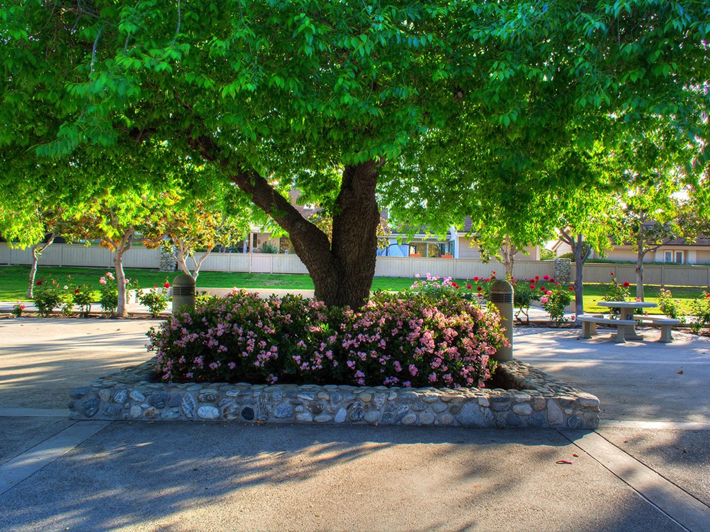 A short description about the picture goes here